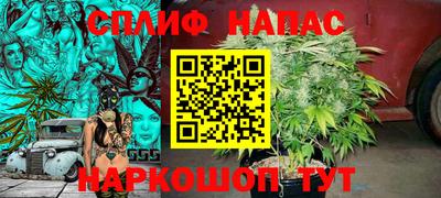прущие грибы Обнинск